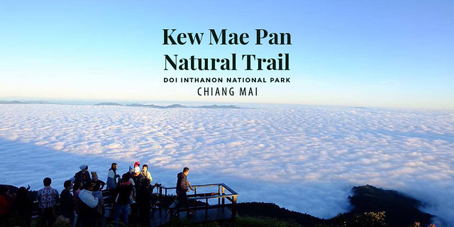 Kew Mae Pan Nature Trail – Doi Inthanon National Park (Chiang Mai, Thailand)