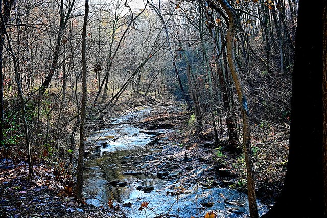 Sharon Creek