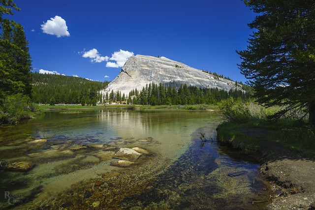 Summer Along the Banks of the Tuolumne