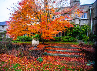 autumn colour | Jacqueline Baxter | Flickr