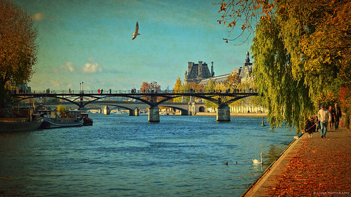 paris river seine france autumn walk pontdesarts bridge city artistsfree art saariysqualitypictures visualart