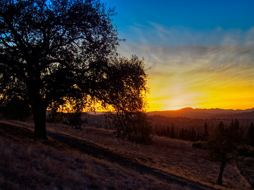 sunset walnutcreek nature landscape steve omd olympus evening limeridge california