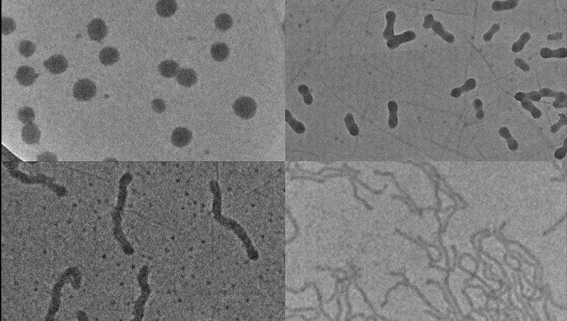 A series of microscope images showing nanoparticles in different formations.