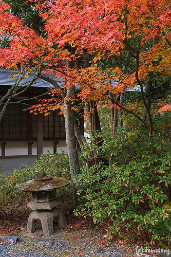 Nomiyama kannonji Temple