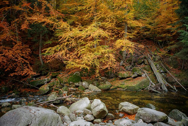 Autumn in Szklarka Valley / Jesień w Dolinie Szklarki