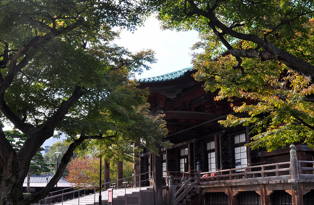 Gokoku-ji hondō in autumn colours