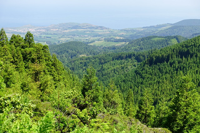 Vacaciones en las Islas Azores: Sao Miguel y Terceira. - Blogs de Portugal - Lagoa do Fogo. Salto do Cabrito (ruta a pie). Caldeira Velha. Rabo de Peixe. (10)