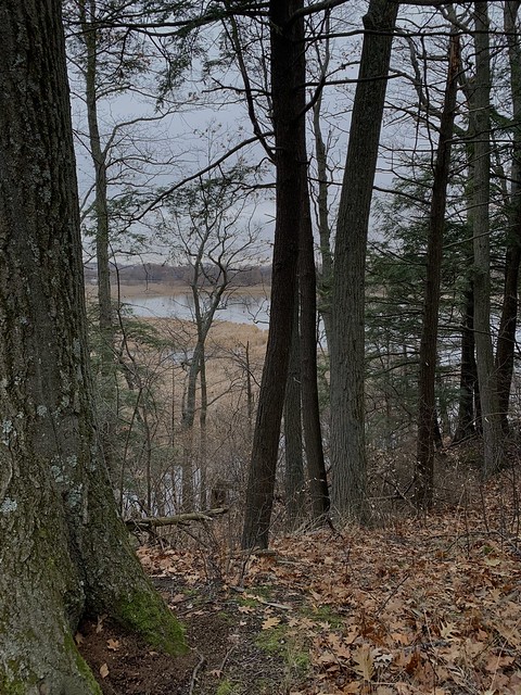View at Duffins Marsh near the lookout on Duffins trail , Discovery Bay , Martin’s photography’s , Ajax , Ontario , Canada , November 29. 2019