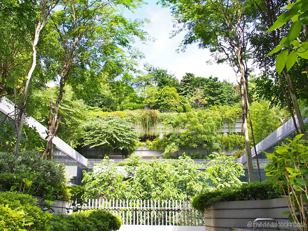 sky terrace,roof garden, retirement village, review, singapore, vertical kampung, kampung admiralty, 