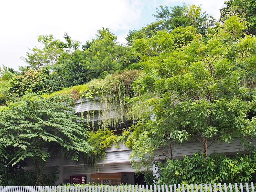sky terrace,roof garden, retirement village, review, singapore, vertical kampung, kampung admiralty, 