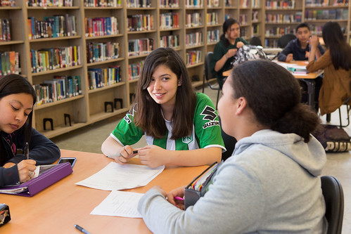 High school students studying in library