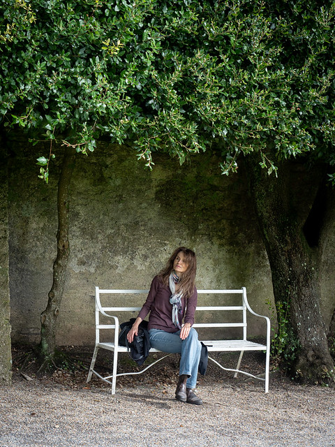 Mariëlle, Devon 2019: Bench under the trees