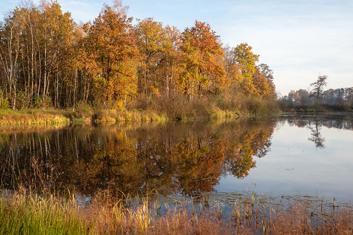 herfst autumn landscape reflections pond