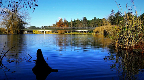 lake water sunshine autumn landscape nature blue