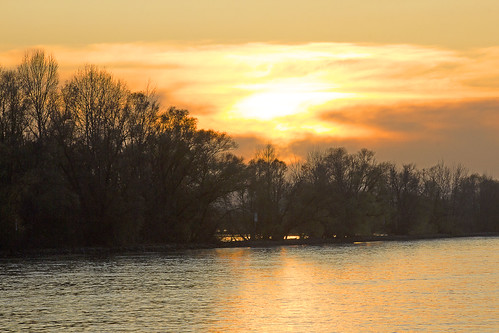 Sonnenuntergang am Rhein - Sunset on the Rhine by heinrich.hehl, spätherbst natur fluss rhein himmel bäume insel sonnenuntergang sunset island trees heaven rhinerive