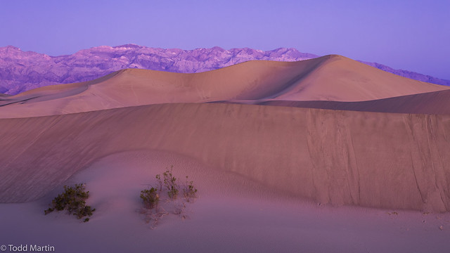 Dawn in the Mesquite Flats Sand Dunes