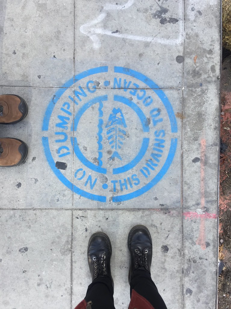 No Dumping - This Drains To Ocean