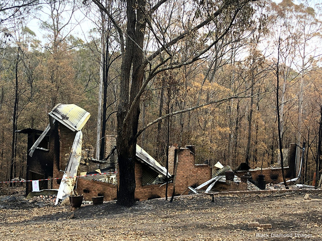 After the Hillville Bushfire - 11th Nov 2019 - Koorainghat Close, Kiwarrak Heights Estate, Mid North Coast, NSW