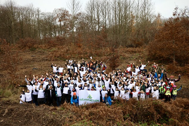 Reforest'Action : Plantation de 3 000 arbres dans la forêt de Sainte-Apolline à Plaisir