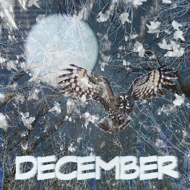 December Night - AMG December Bookmark