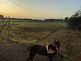 Evie's found a field!