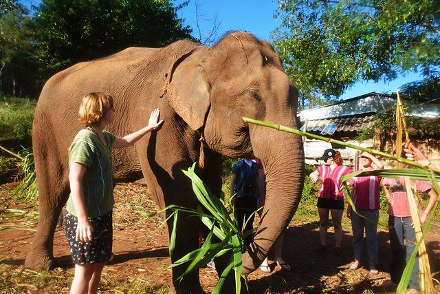Elephant Jungle Paradise Park (Chiang Mai, Thailand) – Brochure, Tour Info, Price & Reviews