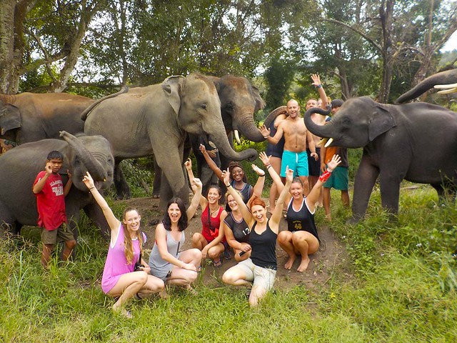 Elephant Family Sanctuary (Chiang Mai, Thailand) – Brochure, Tour Info, Price & Reviews