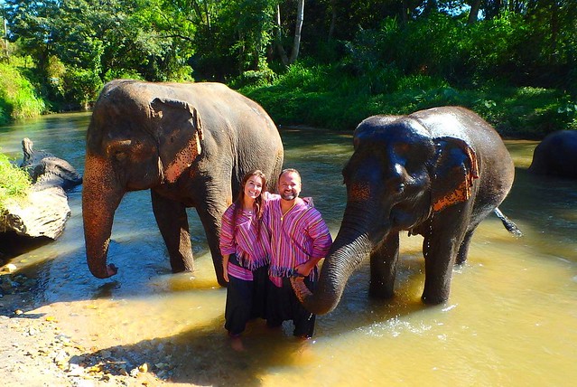 Yogi Mahout – Elephant Eco Tour (Chiang Mai, Thailand) – Brochure, Tour Info, Price & Reviews