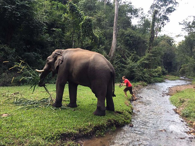 De’Kashor Elephant Home & Hill Tribe Village (Chiang Mai, Thailand) – Brochure, Tour Info, Price & Reviews