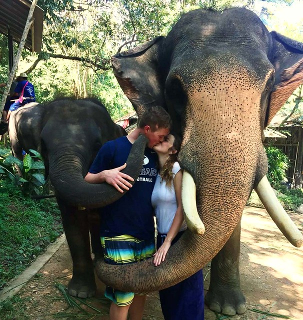 Maesa Elephant Camp (Chiang Mai, Thailand) – Brochure, Tour Info, Price & Reviews