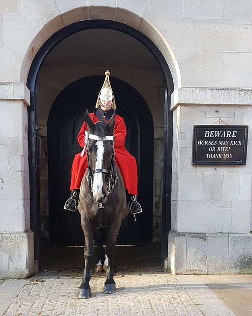 Changing of the guards.   London, England    #changingoftheguards #cityoflondon #london_city_photo #london #city #londonphotography #londonlife #horsebreeding #horse #clevelandbay #darkbrownhorse #inthelineofduty #bridle #uniform #workinghard #UK #england