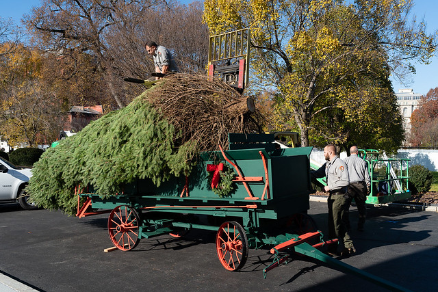 The 2019 White House Christmas Tree Arrives
