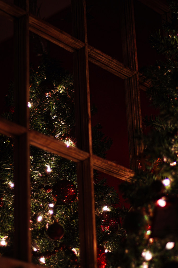 reflected Christmas tree