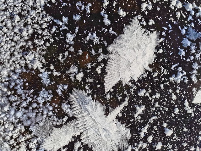 West Lake Ice Crystals 6