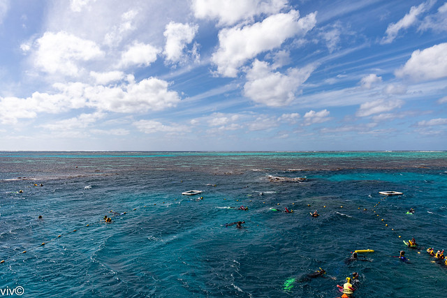 Tourists enjoying pristine waters of Great Barrier Reef which is visible as darker patches, Agincourt, Queensland, Australia