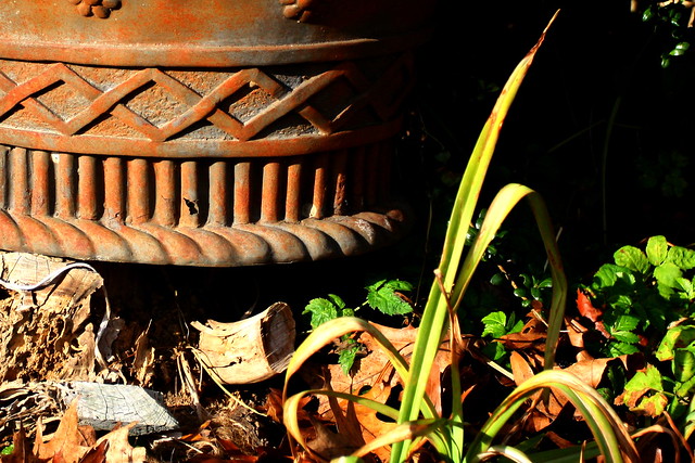 Old flower pot on a stump, leaves, green