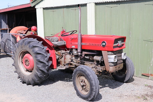 masseyferguson 135 tractor geraldine southcanterbury newzealand crankup geraldinevintagecarclub