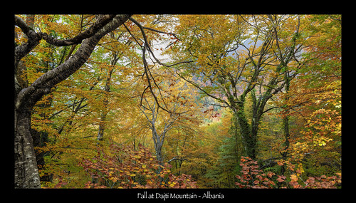 fall autumn colors mountains landscape scenic albania tirana tiranë sky adriatic