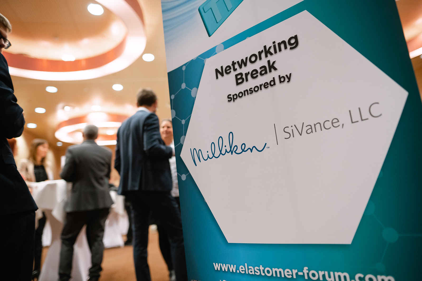Smithers Elastomers World Summit 2019 - Screen Res (519 of 623)