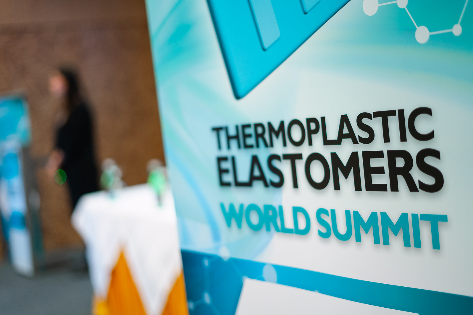 Smithers Elastomers World Summit 2019 - Screen Res (239 of 623)