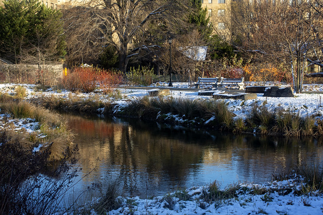 Winter at Brooklyn Botanic Garden