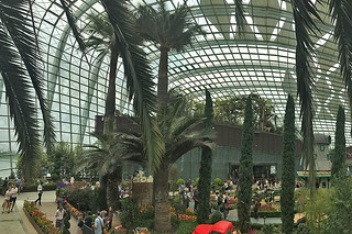 Flower Dome - Palms