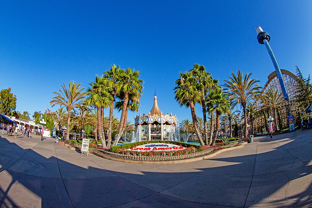 Carousel Plaza
