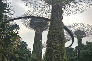 Gardens By The Bay - Supertrees trails