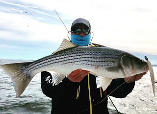Photo of man holding a large striped bass