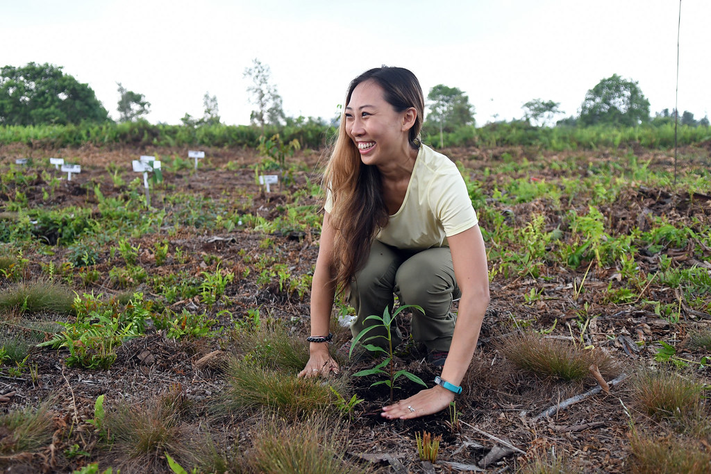 Leona Liu had an honor of planting tree seedlings on PT Rimba's land.