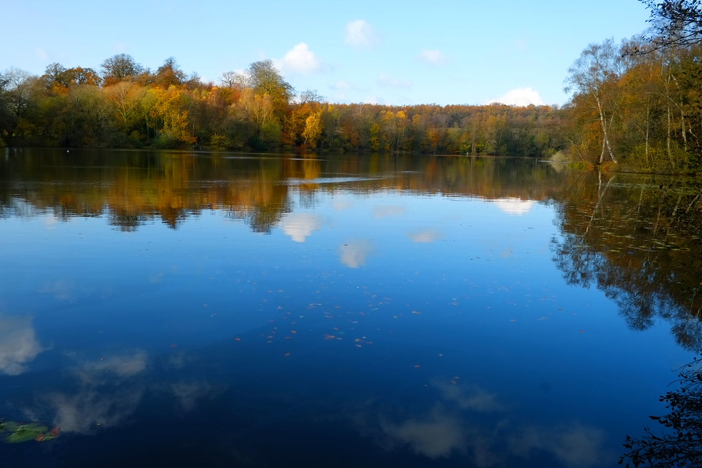 Beautiful Slaugham Pond