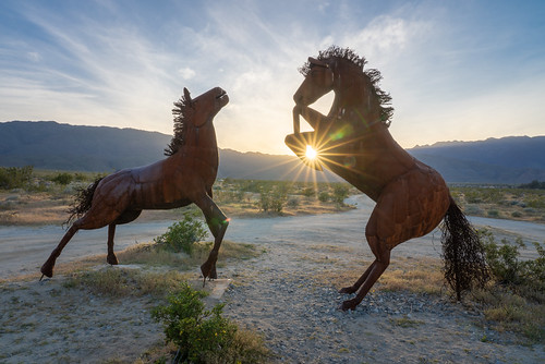california artinstallation art galletameadows lensflare sunstar horses ricardobreceda roadside borregosprings sunset