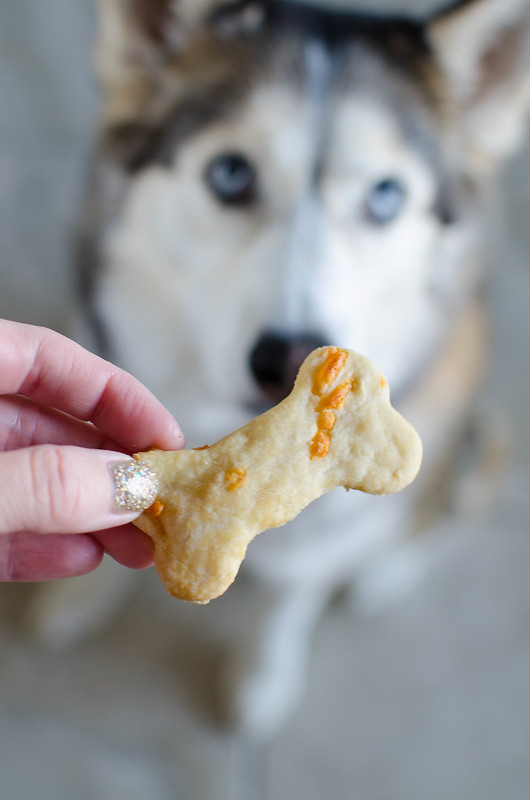 Bacon Cheddar Dog Treats - homemade dog treats made with cheddar cheese and bacon fat! Your dog is going to love these!