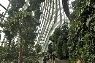 Cloud Forest - Walking to elevator